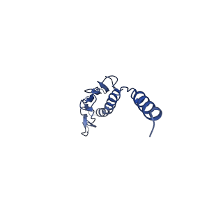 41625_8tum_o_v1-0
Type IV pilus from Pseudomonas PAO1 strain