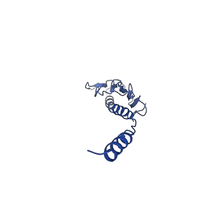 41625_8tum_p_v1-0
Type IV pilus from Pseudomonas PAO1 strain