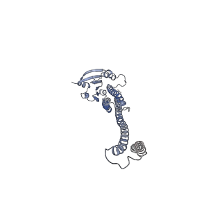 41628_8tup_C_v1-1
Cryo-EM structure of the human MRS2 magnesium channel under Mg2+-free condition