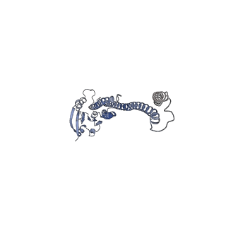 41628_8tup_D_v1-1
Cryo-EM structure of the human MRS2 magnesium channel under Mg2+-free condition
