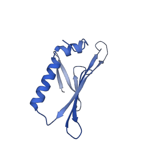 41632_8tux_01_v1-0
Capsid of mature PP7 virion with 3'end region of PP7 genomic RNA