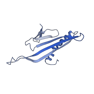 41632_8tux_02_v1-0
Capsid of mature PP7 virion with 3'end region of PP7 genomic RNA