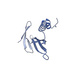 41632_8tux_11_v1-0
Capsid of mature PP7 virion with 3'end region of PP7 genomic RNA