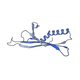 41632_8tux_21_v1-0
Capsid of mature PP7 virion with 3'end region of PP7 genomic RNA