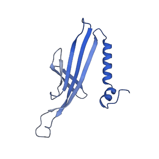 41632_8tux_2A_v1-0
Capsid of mature PP7 virion with 3'end region of PP7 genomic RNA