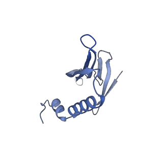 41632_8tux_2C_v1-0
Capsid of mature PP7 virion with 3'end region of PP7 genomic RNA