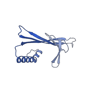 41632_8tux_2D_v1-0
Capsid of mature PP7 virion with 3'end region of PP7 genomic RNA