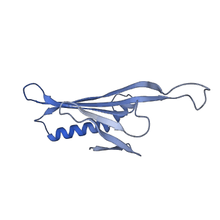 41632_8tux_2E_v1-0
Capsid of mature PP7 virion with 3'end region of PP7 genomic RNA