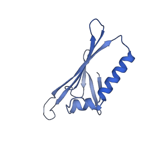 41632_8tux_2H_v1-0
Capsid of mature PP7 virion with 3'end region of PP7 genomic RNA