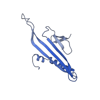 41632_8tux_2I_v1-0
Capsid of mature PP7 virion with 3'end region of PP7 genomic RNA