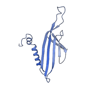 41632_8tux_2J_v1-0
Capsid of mature PP7 virion with 3'end region of PP7 genomic RNA