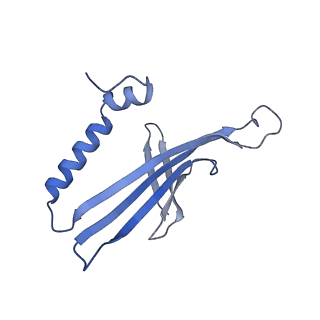 41632_8tux_2K_v1-0
Capsid of mature PP7 virion with 3'end region of PP7 genomic RNA