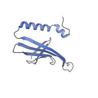 41632_8tux_2L_v1-0
Capsid of mature PP7 virion with 3'end region of PP7 genomic RNA