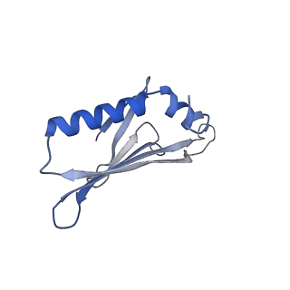 41632_8tux_2O_v1-0
Capsid of mature PP7 virion with 3'end region of PP7 genomic RNA