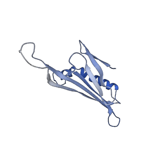 41632_8tux_2R_v1-0
Capsid of mature PP7 virion with 3'end region of PP7 genomic RNA