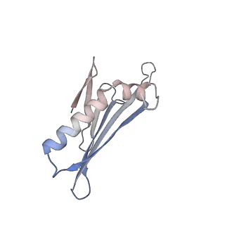 41632_8tux_2U_v1-0
Capsid of mature PP7 virion with 3'end region of PP7 genomic RNA