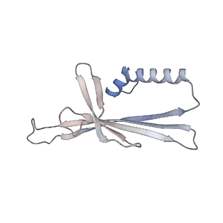 41632_8tux_2V_v1-0
Capsid of mature PP7 virion with 3'end region of PP7 genomic RNA