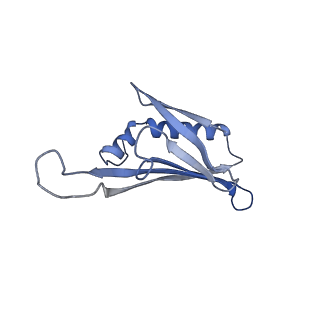 41632_8tux_2W_v1-0
Capsid of mature PP7 virion with 3'end region of PP7 genomic RNA