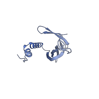 41632_8tux_2X_v1-0
Capsid of mature PP7 virion with 3'end region of PP7 genomic RNA