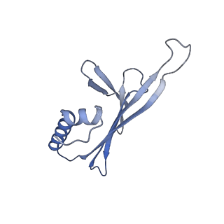 41632_8tux_2Y_v1-0
Capsid of mature PP7 virion with 3'end region of PP7 genomic RNA