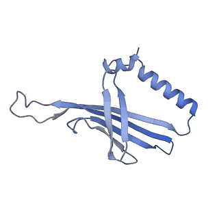 41632_8tux_2Z_v1-0
Capsid of mature PP7 virion with 3'end region of PP7 genomic RNA