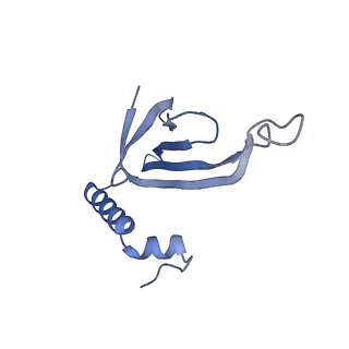 41632_8tux_2a_v1-0
Capsid of mature PP7 virion with 3'end region of PP7 genomic RNA