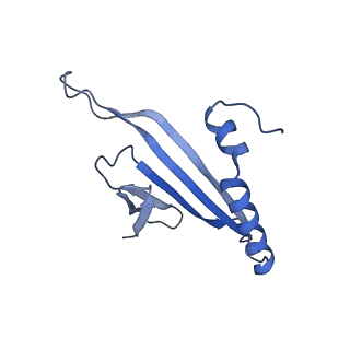 41632_8tux_2c_v1-0
Capsid of mature PP7 virion with 3'end region of PP7 genomic RNA