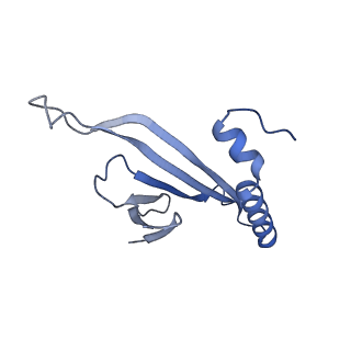 41632_8tux_2f_v1-0
Capsid of mature PP7 virion with 3'end region of PP7 genomic RNA