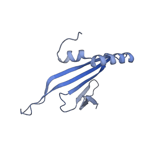 41632_8tux_2g_v1-0
Capsid of mature PP7 virion with 3'end region of PP7 genomic RNA