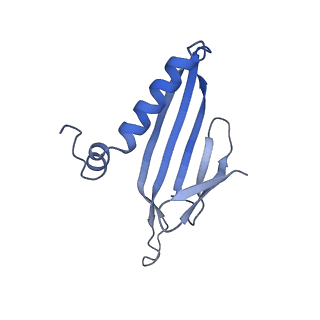 41632_8tux_2h_v1-0
Capsid of mature PP7 virion with 3'end region of PP7 genomic RNA