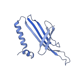 41632_8tux_2i_v1-0
Capsid of mature PP7 virion with 3'end region of PP7 genomic RNA