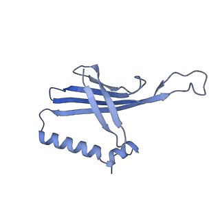 41632_8tux_2j_v1-0
Capsid of mature PP7 virion with 3'end region of PP7 genomic RNA