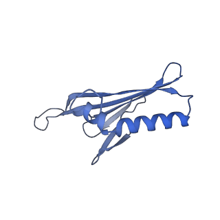 41632_8tux_2m_v1-0
Capsid of mature PP7 virion with 3'end region of PP7 genomic RNA