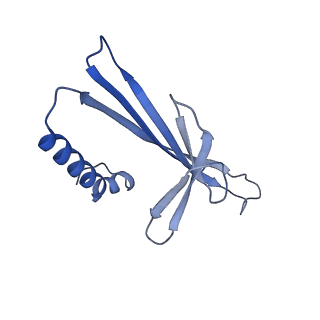 41632_8tux_2o_v1-0
Capsid of mature PP7 virion with 3'end region of PP7 genomic RNA