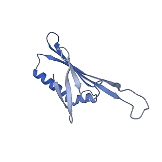 41632_8tux_2p_v1-0
Capsid of mature PP7 virion with 3'end region of PP7 genomic RNA