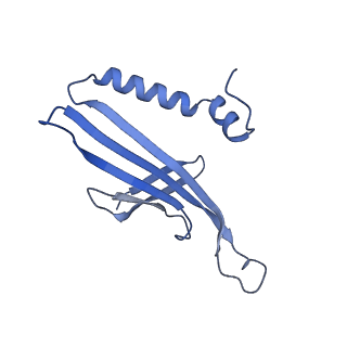 41632_8tux_2q_v1-0
Capsid of mature PP7 virion with 3'end region of PP7 genomic RNA