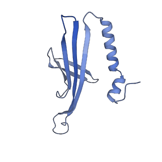 41632_8tux_2r_v1-0
Capsid of mature PP7 virion with 3'end region of PP7 genomic RNA