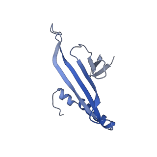 41632_8tux_2t_v1-0
Capsid of mature PP7 virion with 3'end region of PP7 genomic RNA