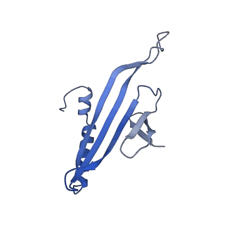 41632_8tux_2u_v1-0
Capsid of mature PP7 virion with 3'end region of PP7 genomic RNA