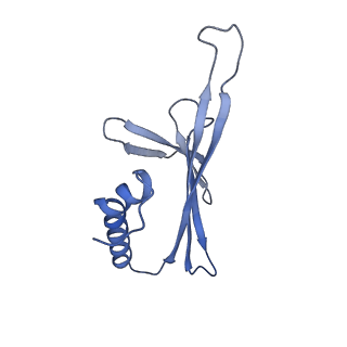 41632_8tux_32_v1-0
Capsid of mature PP7 virion with 3'end region of PP7 genomic RNA