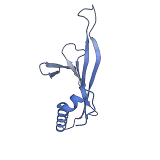 41632_8tux_41_v1-0
Capsid of mature PP7 virion with 3'end region of PP7 genomic RNA