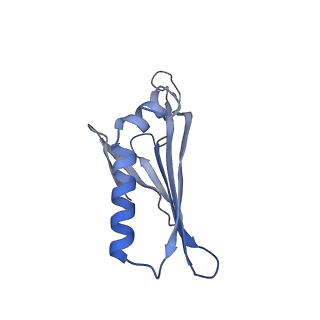 41632_8tux_42_v1-0
Capsid of mature PP7 virion with 3'end region of PP7 genomic RNA