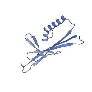 41632_8tux_62_v1-0
Capsid of mature PP7 virion with 3'end region of PP7 genomic RNA