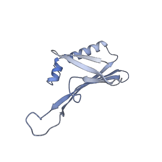 41632_8tux_71_v1-0
Capsid of mature PP7 virion with 3'end region of PP7 genomic RNA