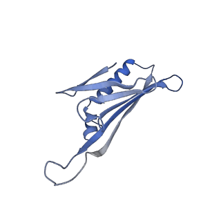 41632_8tux_72_v1-0
Capsid of mature PP7 virion with 3'end region of PP7 genomic RNA