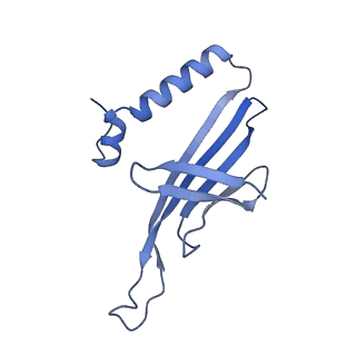 41632_8tux_82_v1-0
Capsid of mature PP7 virion with 3'end region of PP7 genomic RNA