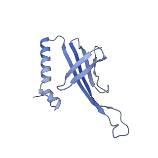 41632_8tux_92_v1-0
Capsid of mature PP7 virion with 3'end region of PP7 genomic RNA