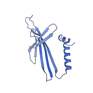 41632_8tux_B1_v1-0
Capsid of mature PP7 virion with 3'end region of PP7 genomic RNA