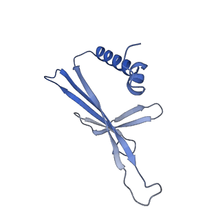 41632_8tux_B2_v1-0
Capsid of mature PP7 virion with 3'end region of PP7 genomic RNA