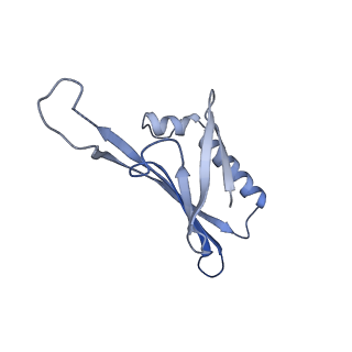 41632_8tux_C1_v1-0
Capsid of mature PP7 virion with 3'end region of PP7 genomic RNA